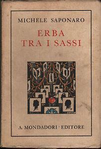 Erba tra i sassi - Michele Saponaro - copertina