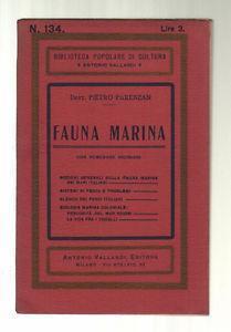 Fauna Marina - Pietro Parenzan - copertina