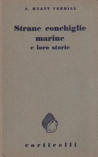 Strane conchiglie marine e loro storie