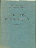 Collections prehistoriques