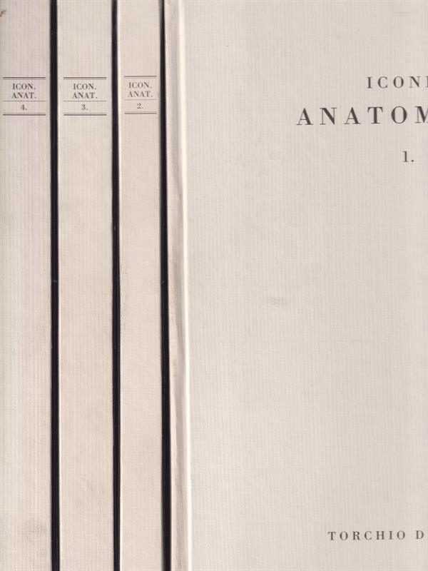 LIBRACCIO VINTAGE