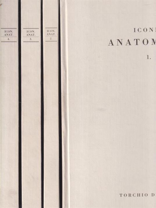 Icones Anatomicae. 4voll - copertina