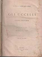 Gli uccelli