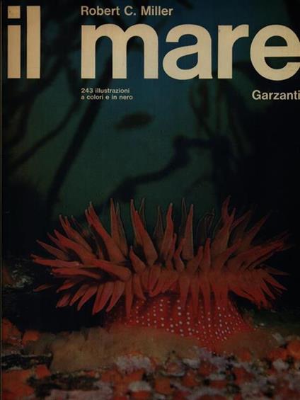 Il mare - Robert C. Miller - copertina