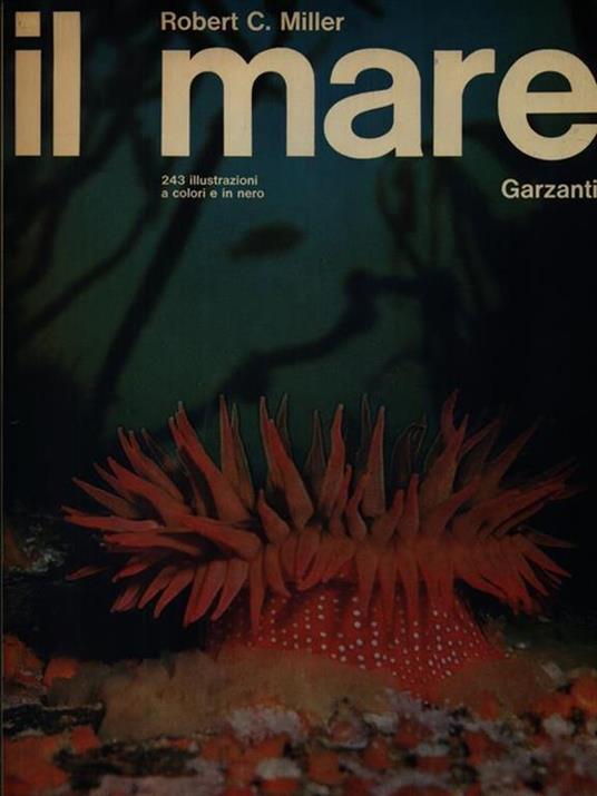 Il mare - Robert C. Miller - copertina
