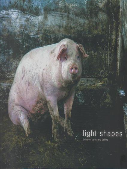 Light Shapes Between Berlin and Beijing - copertina