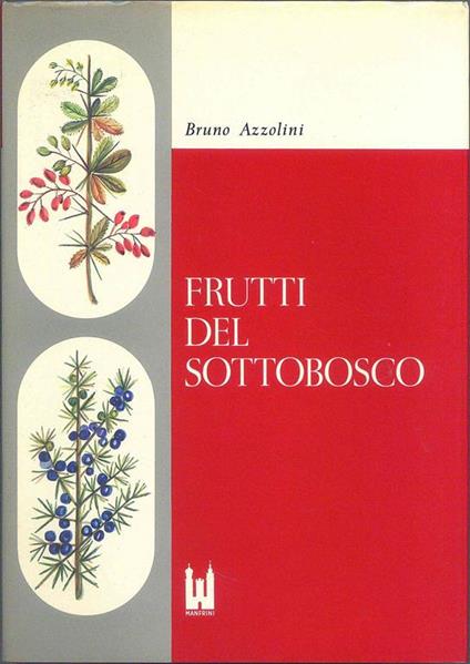 Frutti del sottobosco - Bruno Azzolini - copertina