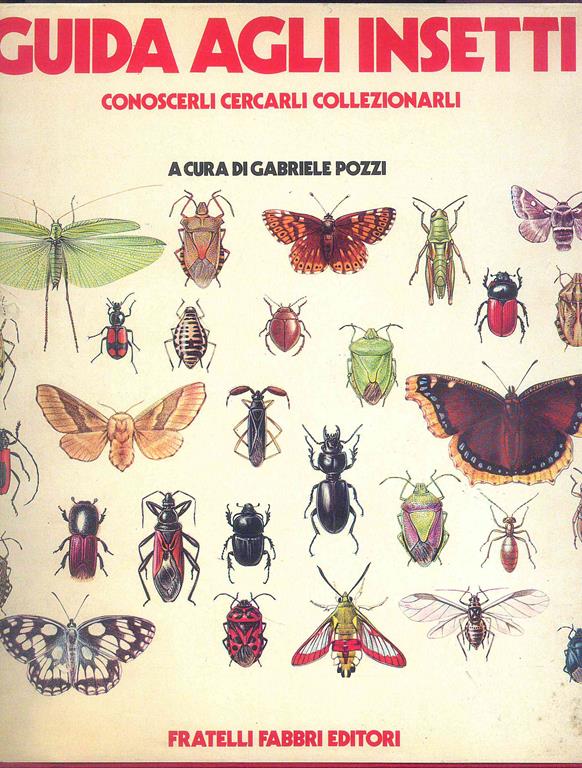 L'Odissea Libri e Arte