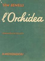 L' Orchidea
