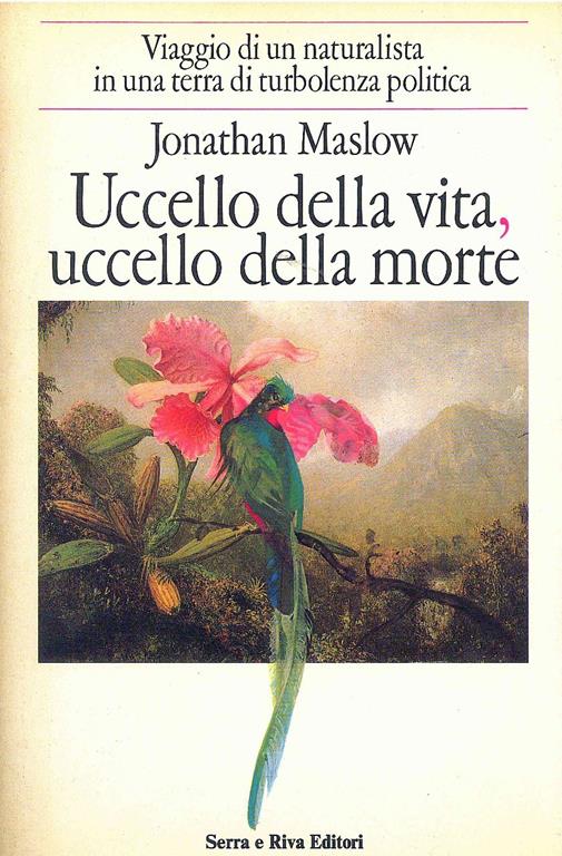 LIBRACCIO VINTAGE