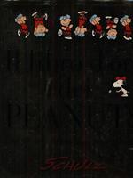 Il libro d'oro dei Peanuts