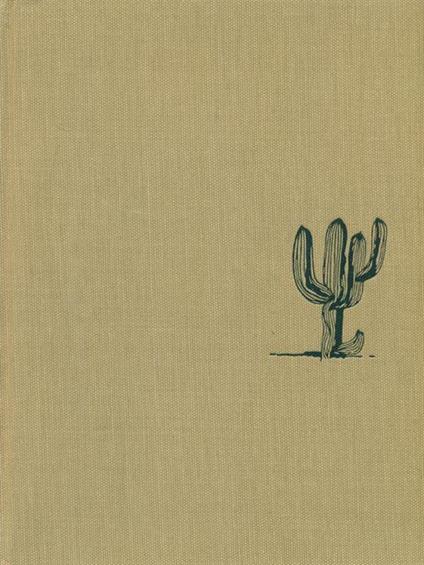 Cordigliera. Venezuela, Colobia, Ecuador, Perù - Alfonso Vinci - copertina