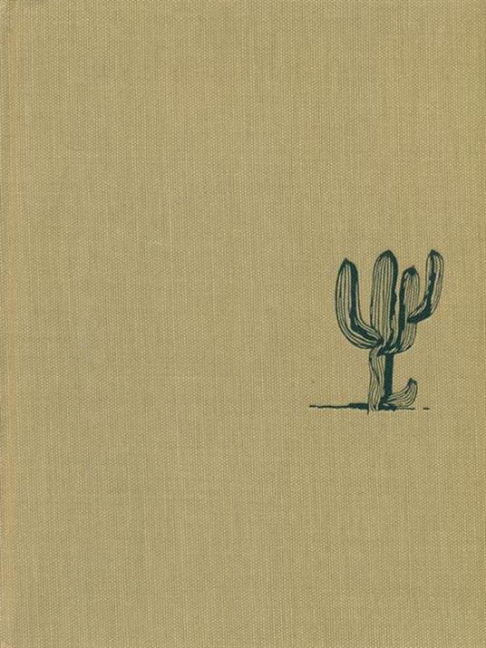 Cordigliera. Venezuela, Colobia, Ecuador, Perù - Alfonso Vinci - copertina