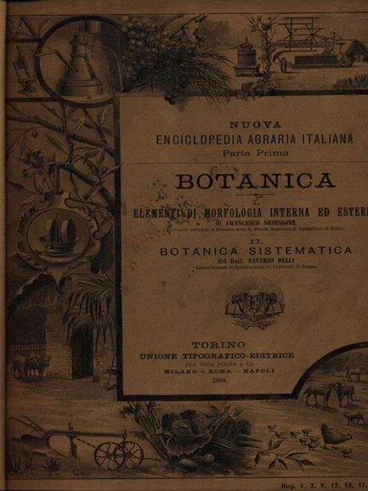 Botanica vol. II: Botanica sistematica - Francesco Ardissone - copertina