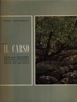 Il Carso