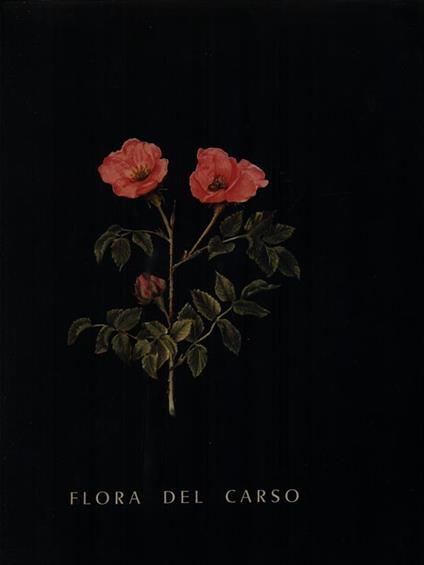 Flora del Carso - Renato Mezzena - copertina