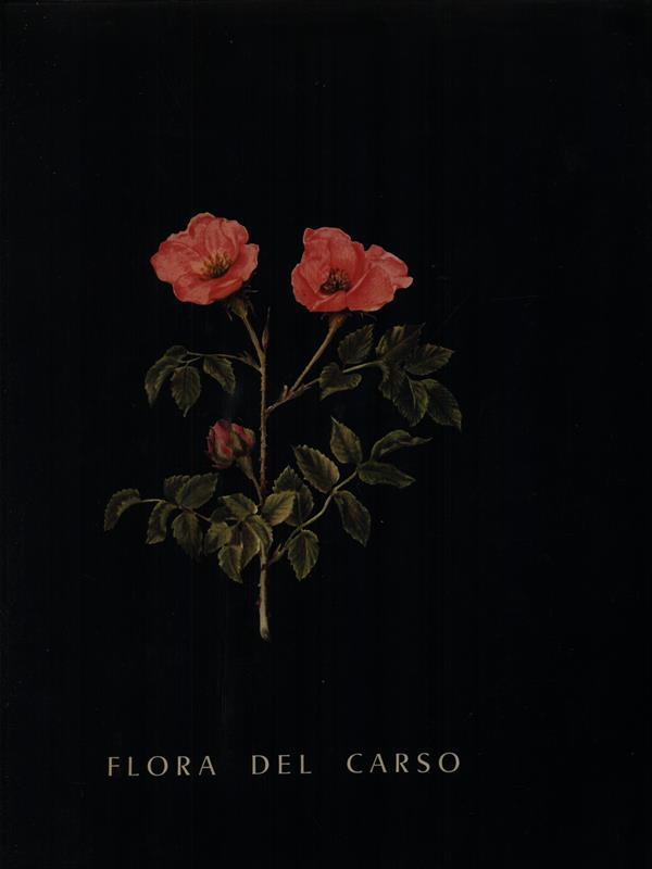 Flora del Carso