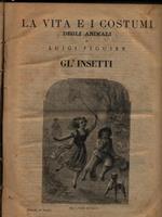La vita e i costumi degli animali: Gl'insetti - I molluschi e i zoofiti