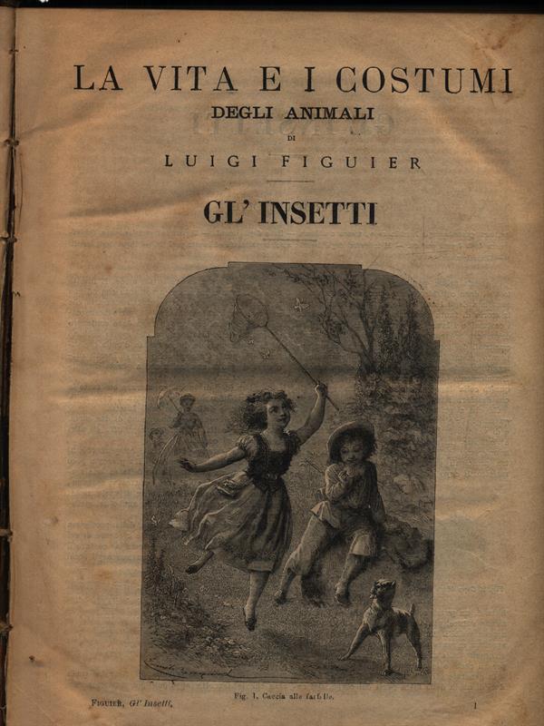 La vita e i costumi degli animali: Gl'insetti - I molluschi e i zoofiti