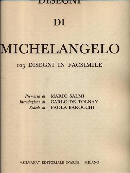 Disegni di Michelangelo - copertina