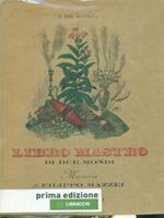 Libro mastro di due mondi