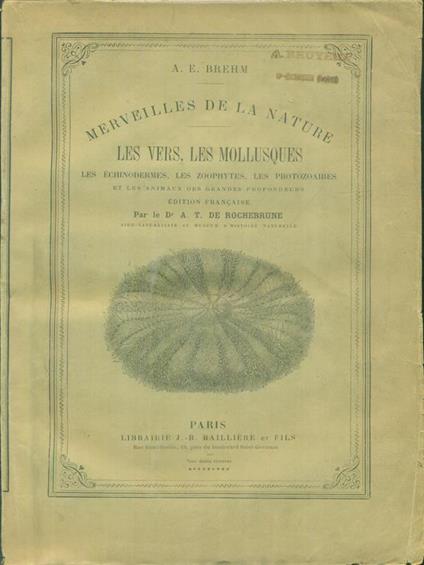 Les vers, les mollusques - A.E. Brehm - copertina