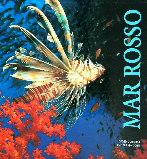LIBRACCIO VINTAGE