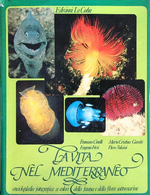 La vita nel Mediterraneo
