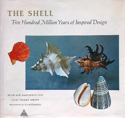 The Shell - copertina
