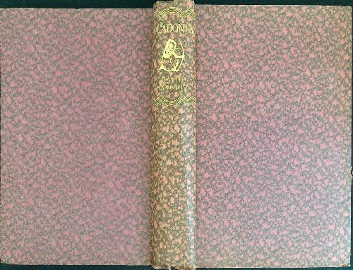 Pocahontas or the nonparell of Virginia - David Garnett - copertina