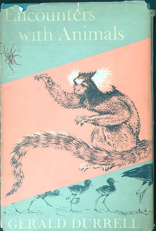 Encounters with animals