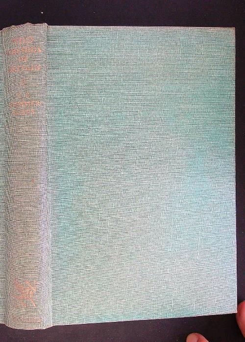 The new naturalist wild orchids of Britain - copertina