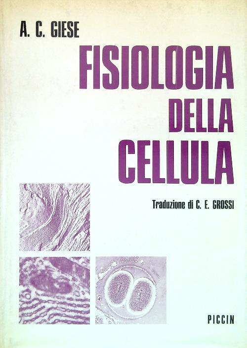 LIBRACCIO VINTAGE