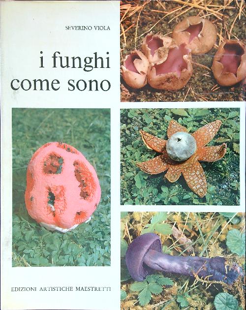 LIBRACCIO VINTAGE