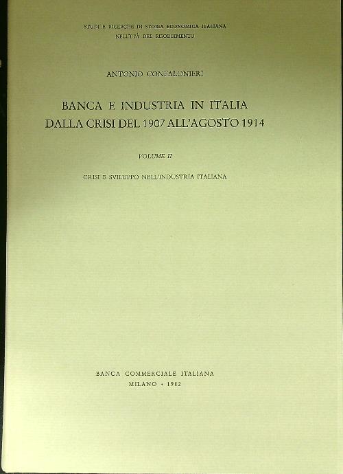 Banca e industria in Italia dalla crisi del 1907 all'agosto 1914 2vv