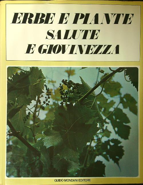 LIBRACCIO VINTAGE