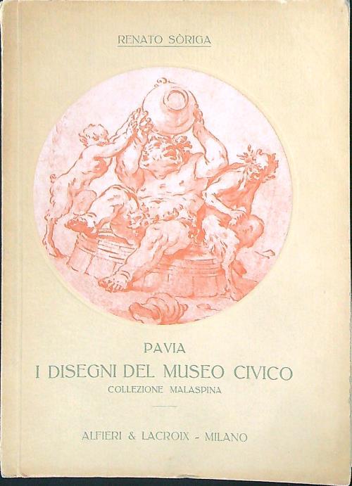 Pavia I disegni del museo Civico