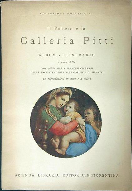 Il palazzo e la Galleria Pitti - copertina