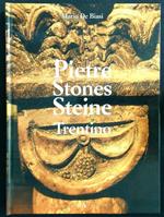 Pietre stones steine Trentino