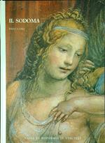 Il sodoma