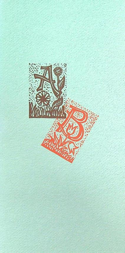 L' alfabeto di Remo Wolf - copertina