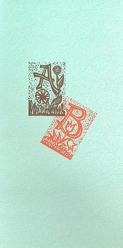 L' alfabeto di Remo Wolf - copertina