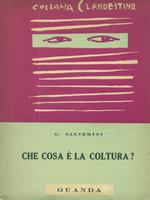 Che cosa è la coltura?