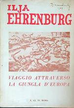 Viaggio attraverso la giungla d'Europa