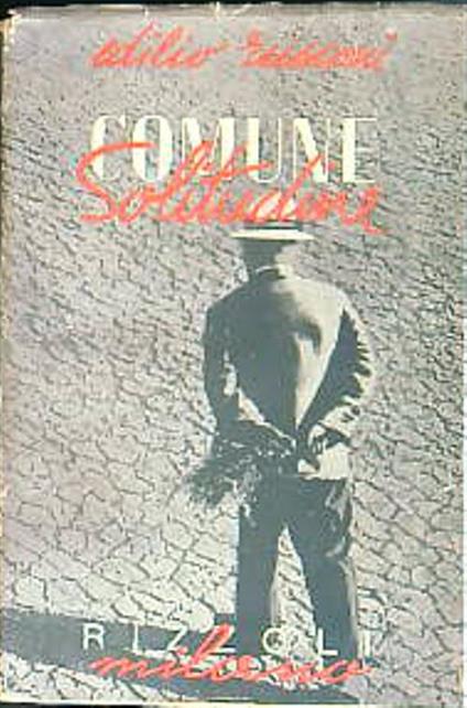 Comune solitudine - Edilio Rusconi - copertina