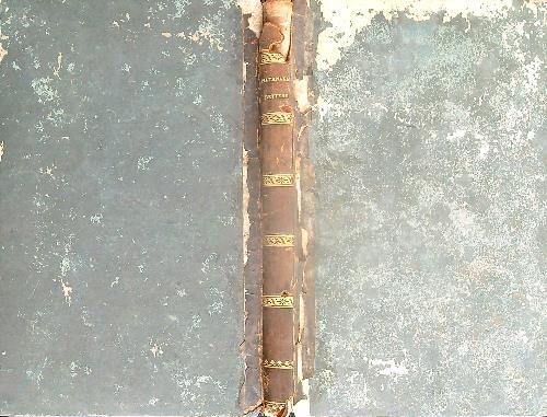 Lettere scritte a suo nipote - Innocente Natanaeli - copertina
