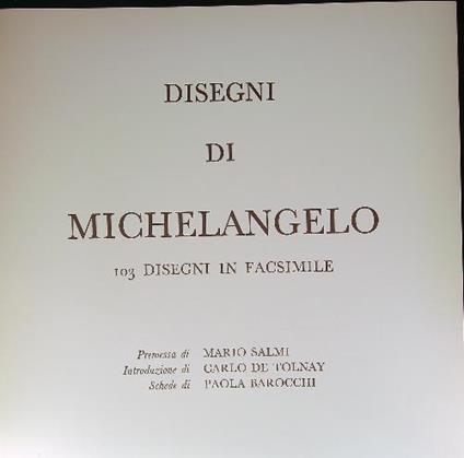 Disegni di Michelangelo - copertina