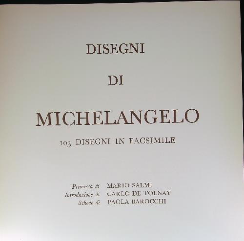 Disegni di Michelangelo - copertina