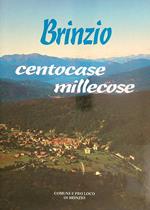 Brinzo centocase millecose
