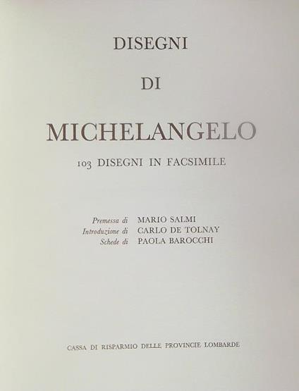 Disegni di Michelangelo. 103 disegni in facsimile  - copertina